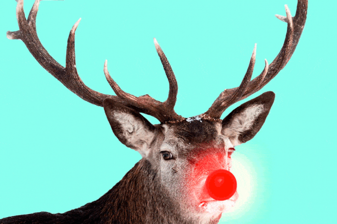 Rudolph The Red-Nosed Reindeer at Des Monies Civic Center